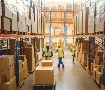 warehouse management guide